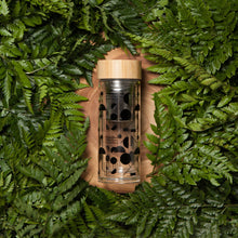 Load image into Gallery viewer, Domino Glass Tea Infuser Bottle