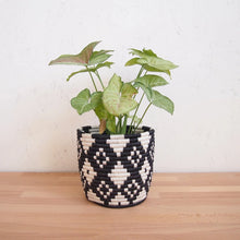 Load image into Gallery viewer, Ndora Basket Planters
