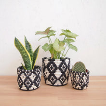 Load image into Gallery viewer, Ndora Basket Planters