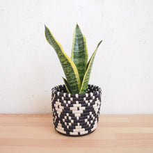 Load image into Gallery viewer, Ndora Basket Planters