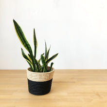 Load image into Gallery viewer, Gasave Basket Planter
