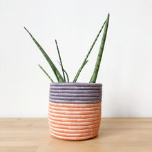 Load image into Gallery viewer, Bweza Basket Planters