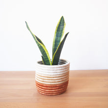 Load image into Gallery viewer, Juru Basket Planters