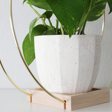 Load image into Gallery viewer, BRAID & WOOD Plant Hanger (Medium)