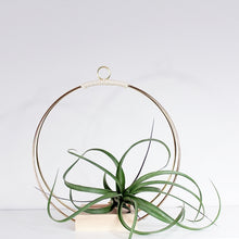 Load image into Gallery viewer, BRAID & WOOD Plant Hanger (Medium)