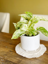 Load image into Gallery viewer, Macrame Fringe Coaster - Large