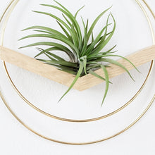 Load image into Gallery viewer, BRAID & WOOD V-Hanger Planter (Large)