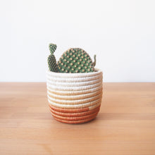 Load image into Gallery viewer, Juru Basket Planters