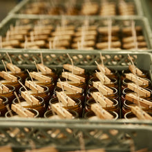 Load image into Gallery viewer, P.F. Candle Co. Ojai Lavender