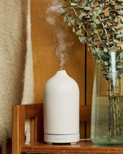 Load image into Gallery viewer, Paddywax Oil Diffuser