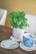 Load image into Gallery viewer, Macrame Fringe Coaster - Natural/Sage