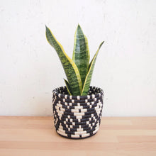 Load image into Gallery viewer, Ndora Basket Planters
