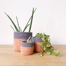 Load image into Gallery viewer, Bweza Basket Planters
