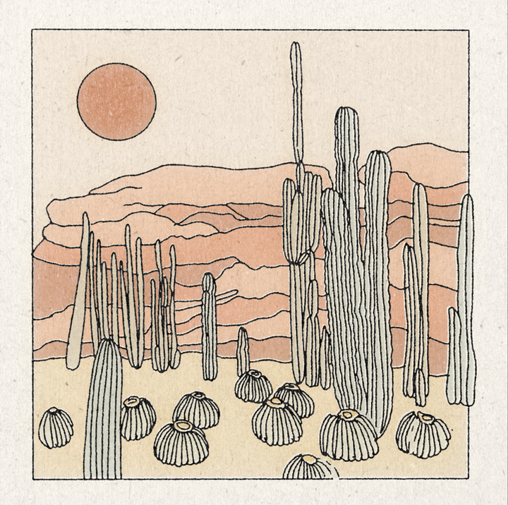 'Desert Scene' Print