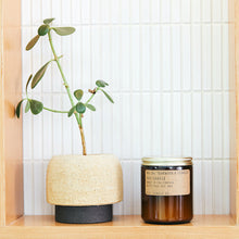 Load image into Gallery viewer, P.F. Candle Co. Teakwood &amp; Tobacco
