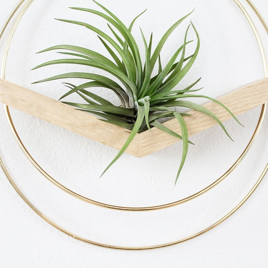 braid and wood plant hanger BRAID & WOOD V-Hanger Planter (Large) – Knot & Home