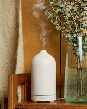 Load image into Gallery viewer, Paddywax Oil Diffuser
